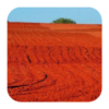 Red Soil image