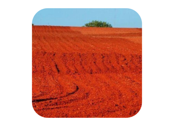 Red Soil image