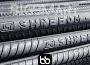 Shree Xtra 8mm TMT