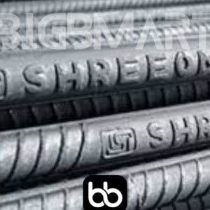 Shree TMT Xtra 10mm Steel Bars