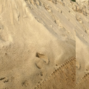 RIVER SAND Suppliers Bangalore- Call now: 9964521747